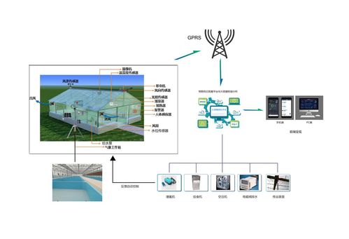 水產養殖智能監控系統的計算機網絡系統工程服務 構建現代漁業的數據神經